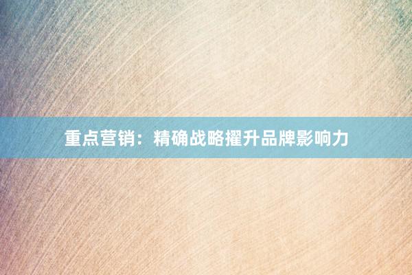 重点营销：精确战略擢升品牌影响力